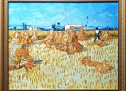 Винсент Ван Гог, Сбор урожая в Провансе, 1888